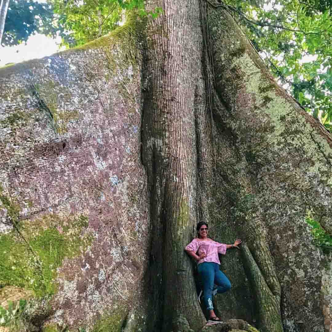 Imagen 7 de Amanecer Loretano / Vivencial