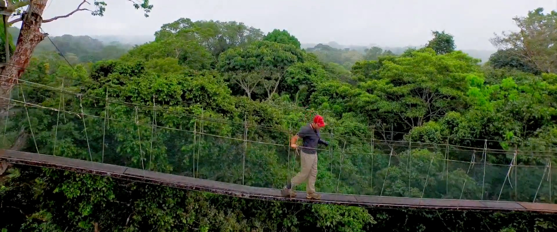 Imagen del tour: Aventura Amazonica / Vivencial
