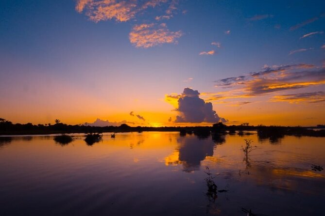 Imagen 5 de Aventura Amazonica / Vivencial