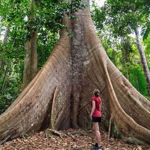 Imagen 6 de Aventura Amazonica / Vivencial
