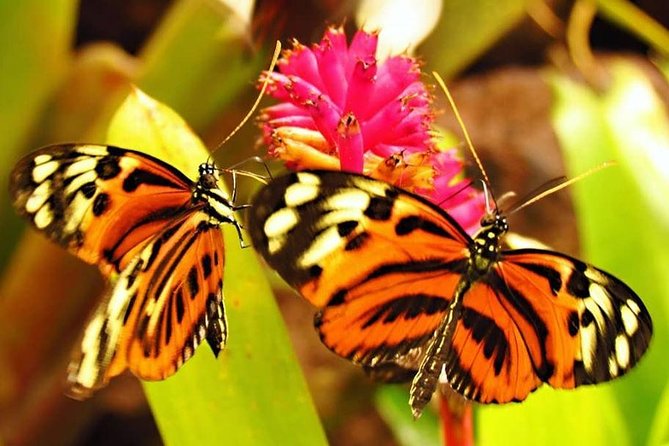 Imagen 7 de Aventura Amazonica / Vivencial