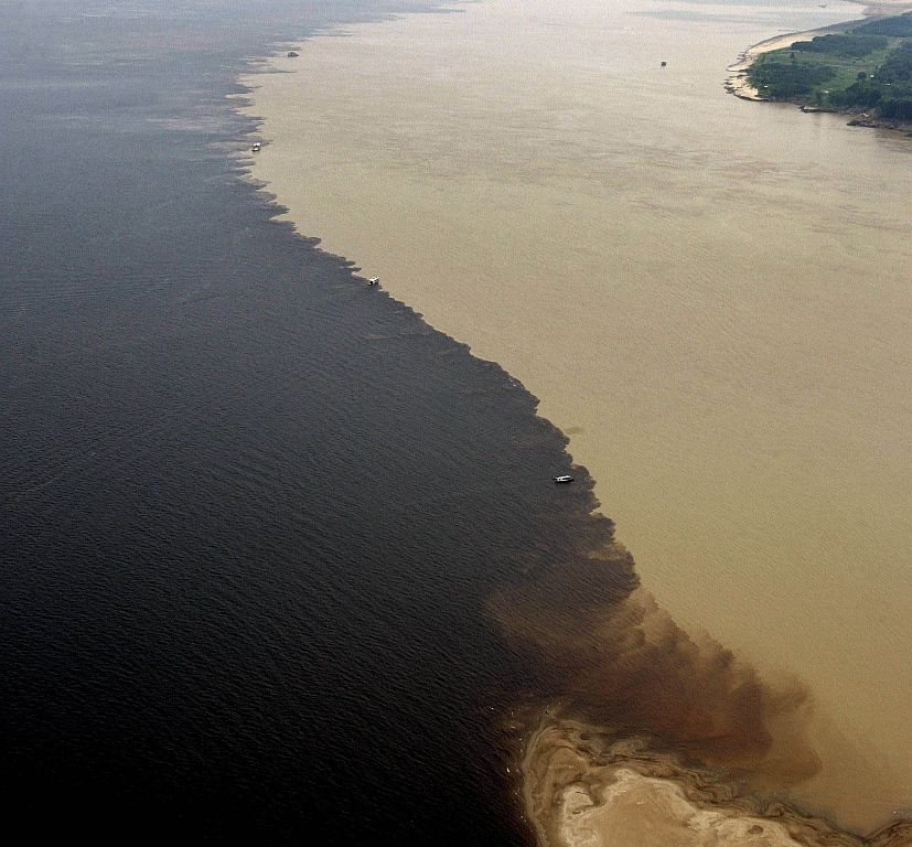 Imagen 1 de Delfín Amazónico / Vivencial