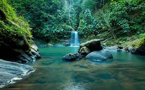 Imagen 4 de Paquete Confort Superior 2x1