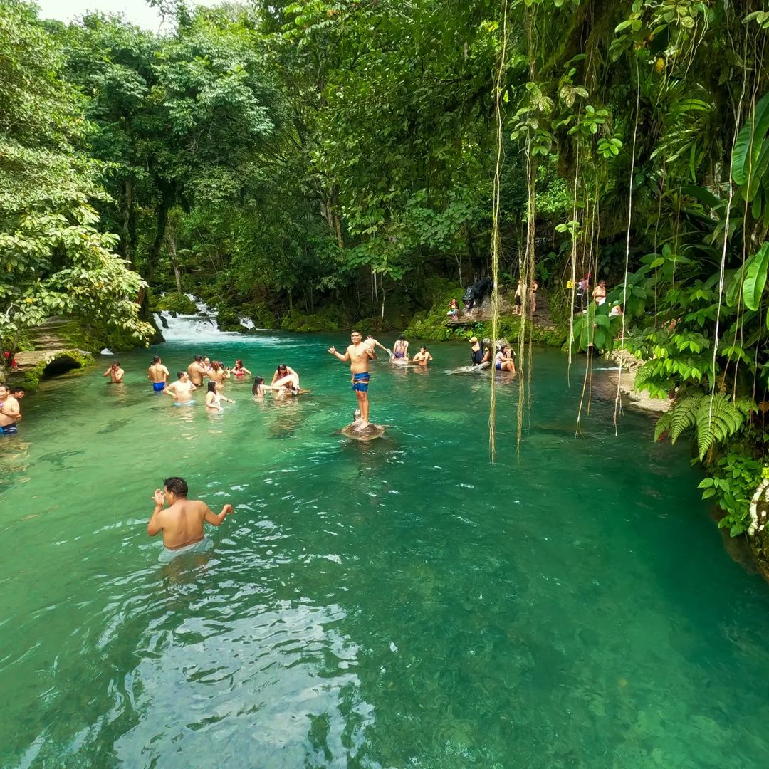 Imagen 6 de Plan Premium Completo 2x1