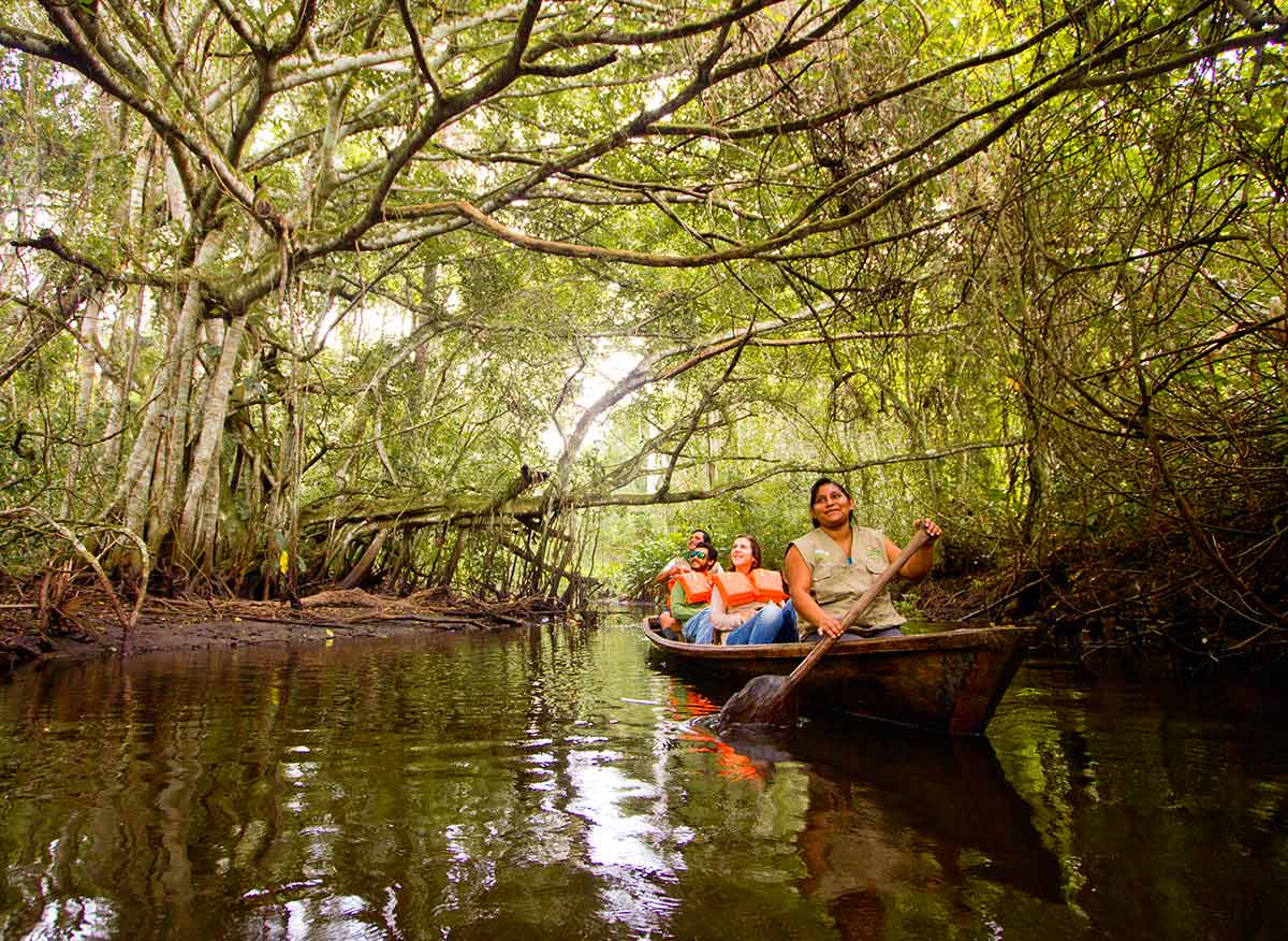 Imagen 7 de Plan Premium Completo 2x1