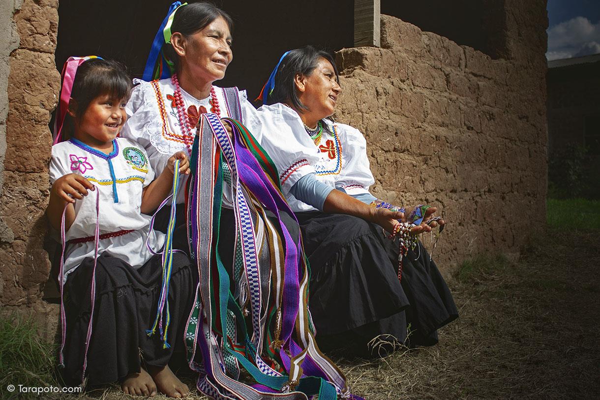 Imagen 1 de Lamas Nativa