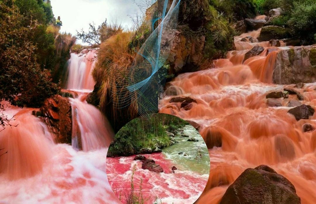 Imagen 1 de PALCCOYO